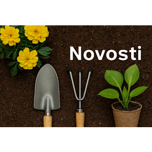 Novo