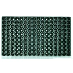 BACHMANN 65409 - SJETVENI PL. 160 RUPA (80komX24=1.920/paleto)