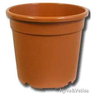 BAMAP- CONTAINER PISTOIA 16/P/TERRAC./smeđi/2,6L/3600/P