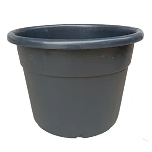 BAMAP- MASTELLO PISTOIA 60/P /CRNI/110L/120/P