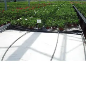 Reimann - FLORAPOL - 2,0m širine (cijena/dužni meter)