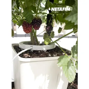 Namak- NETAFIM PRSTEN ZA KAPANJE ''NetBow'' 12cm / 2.0-8.0L/H- Cijena po kom