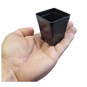 BAMAP- VASO QUADRO 5x5x6/NERO/crni/0,12L/54000/P