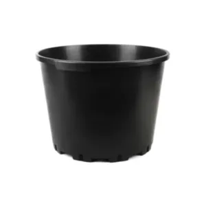 BAMAP-VASO BASSO BlueberrY, fi 40, visina 31 cm, 35 lit./lonac za borovnice