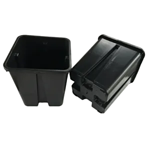 BAMA-QUADRO PROTIV UVIJANJA KORIJENJA 18x18x23 PP/NERO/crni/6,5L/3000P