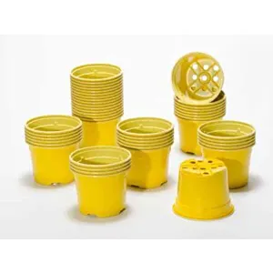 SOPARCO-Lonci u boji 10,5cm/5/YELLOW/žuti 920x30=27600 kom