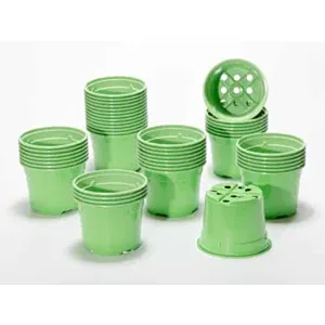 SOPARCO-Lonci u boji 10,5cm/5/D6-AN.GREEN/zeleni 920x30=27600 kom