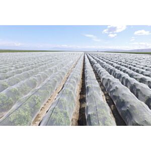 Vetisa-MREŽA PROTIV INSEKATA RIJETKA 0,88 mm x 1,02 mm - pakiranje 4x5 m