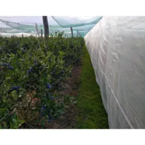 Vetisa- MREŽA PROTIV INSEKATA DEBELINA 0,39 mm x 0,83 mm- pakiranje 2x5 m