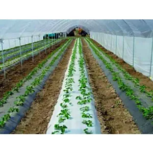 VETISA FOLIJA LIRSA CRNA 1,2 m širine - 0,03 mm, paket 100 LFM