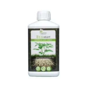 Organics nutrients - Big start 1 L