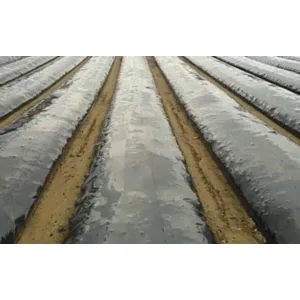 Zastirna folija LIRSA Daios P. crna 30mic 1,2m x 1500m
