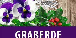 Gramoflor - Supstrati za grobove