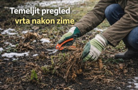 Proljetna priprema vrta - kontrolni popis za uspješnu vrtlarsku sezonu