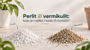 Perlit ili vermikulit: koja je razlika i kada ih koristiti?