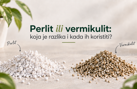 Perlit ili vermikulit: koja je razlika i kada ih koristiti?